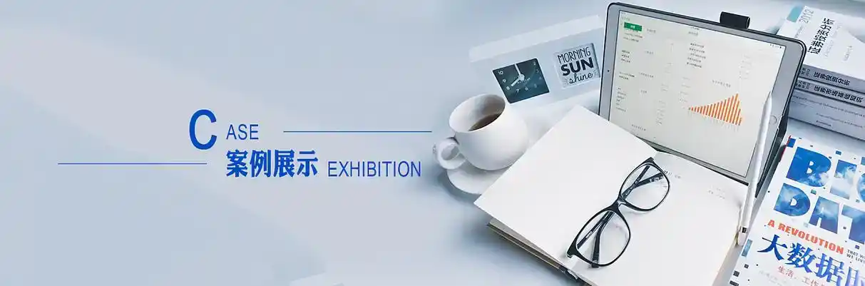 景洪市软件开发